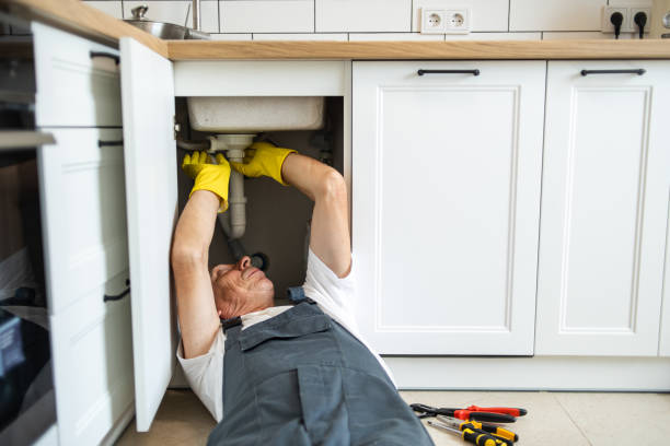 Best Commercial Plumbing Services  in Aurora, CO